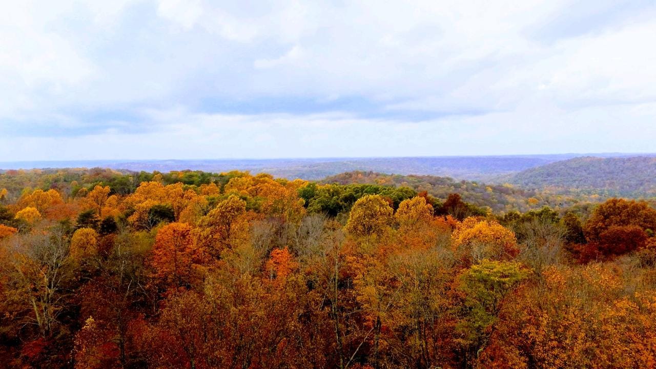 O’Bannon Woods State Park photo