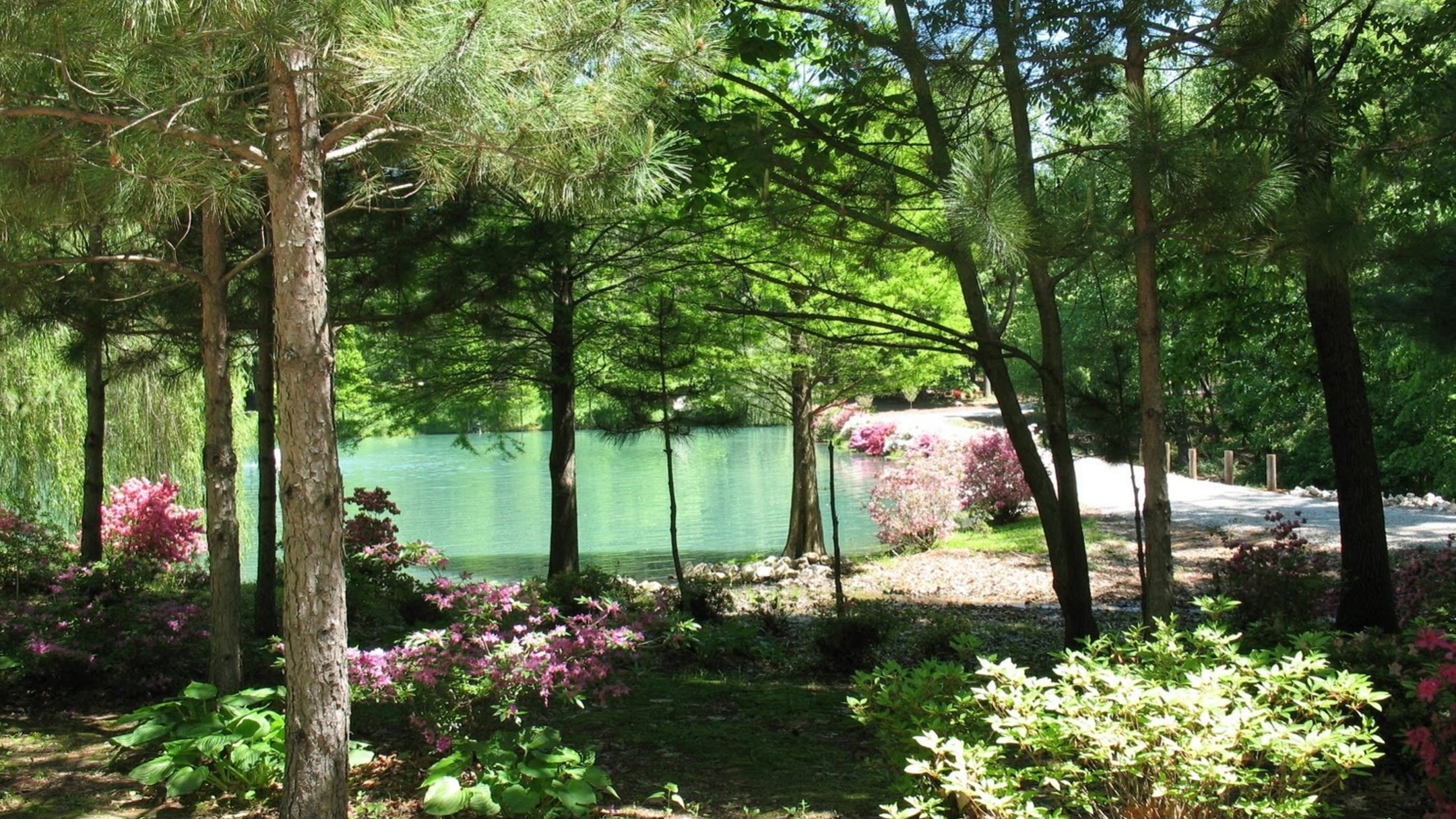 Gibson County Foliage