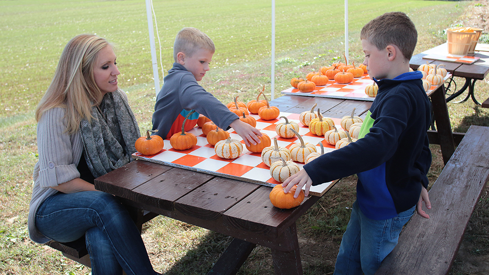 Pumpkins and More Farm Market