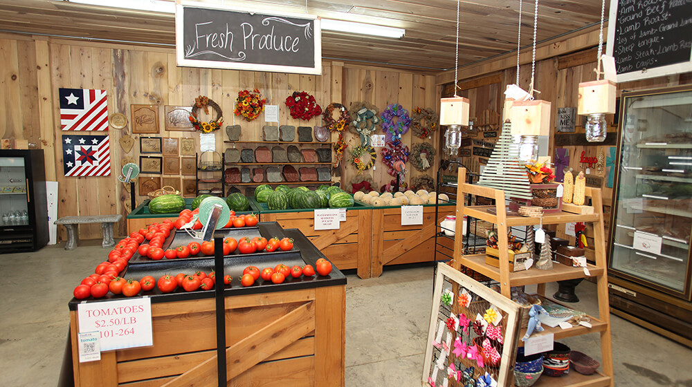 Pumpkins and More Farm Market photo