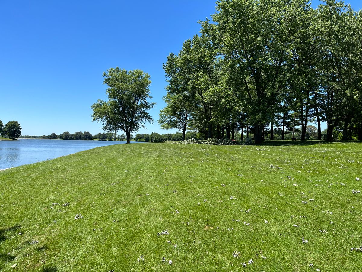Prides Creek Campground photo