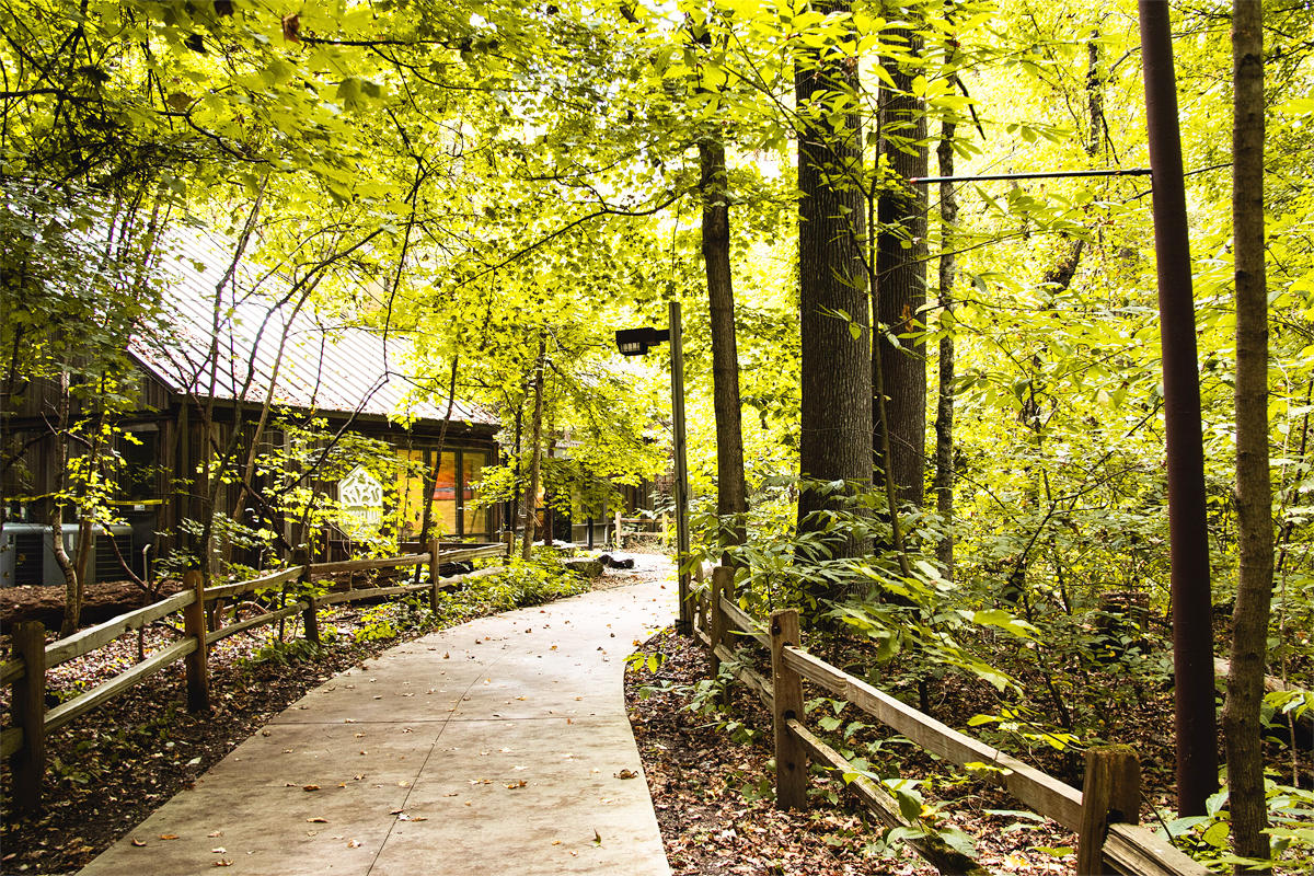Wesselman Woods photo