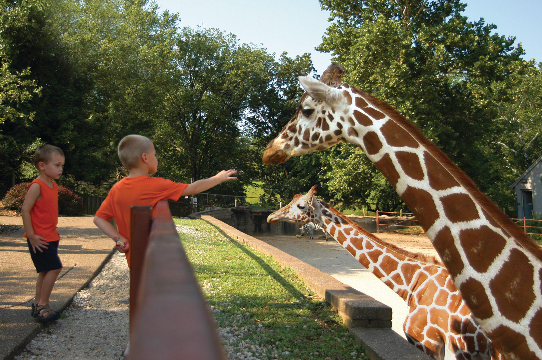 Mesker Park Zoo & Botanic Garden photo