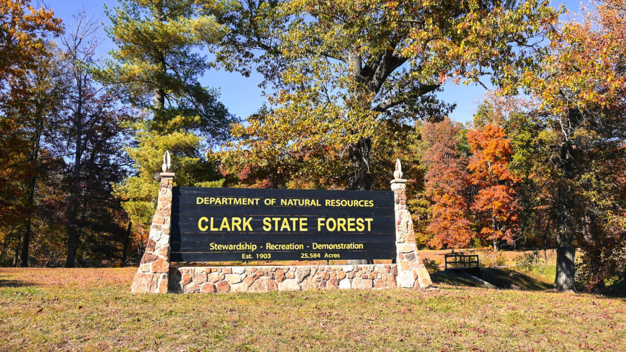 Clark State Forest photo
